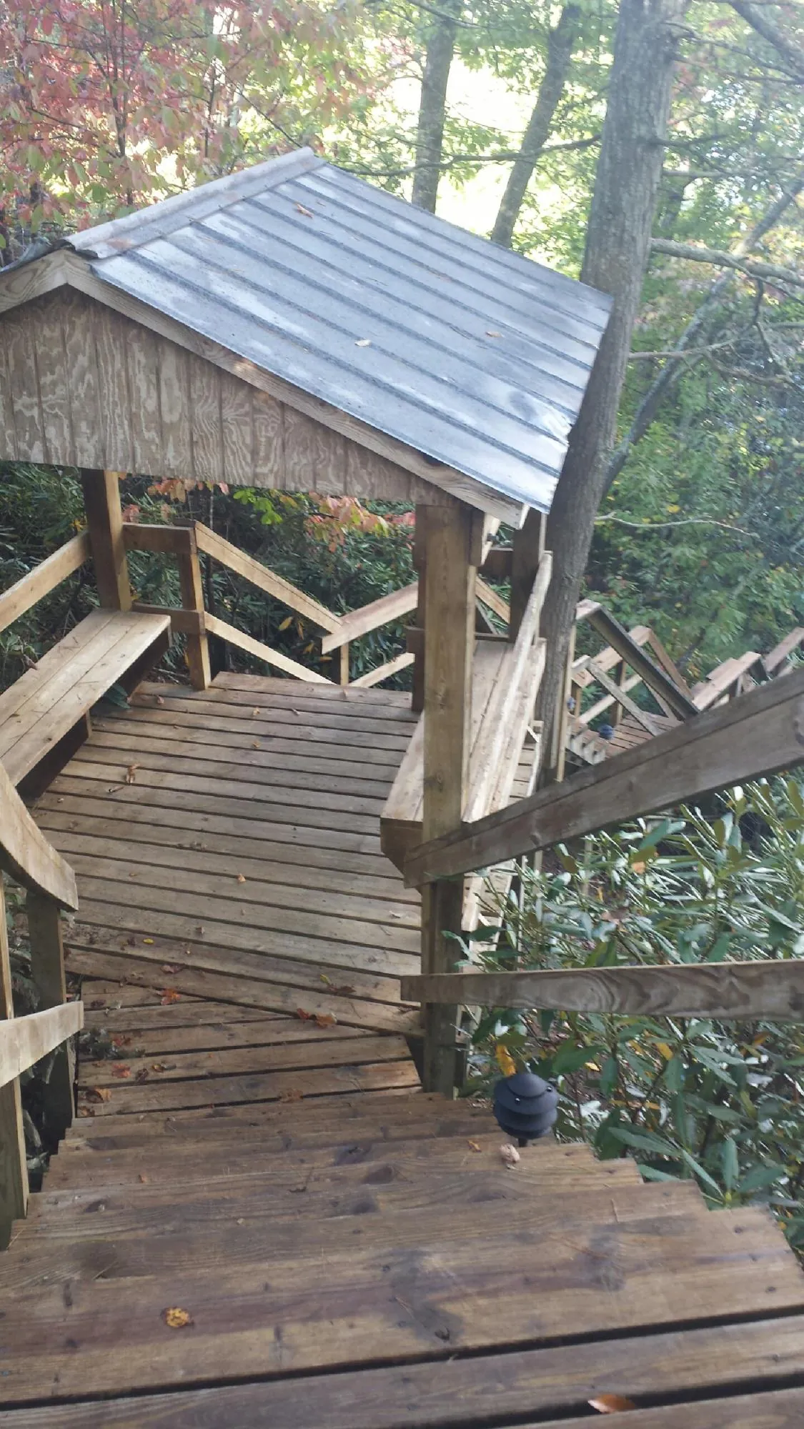 Metal roofed shelter over wooden steps on a wooded walkway — Skylight Repair & Installation work by our crew in Petrolia